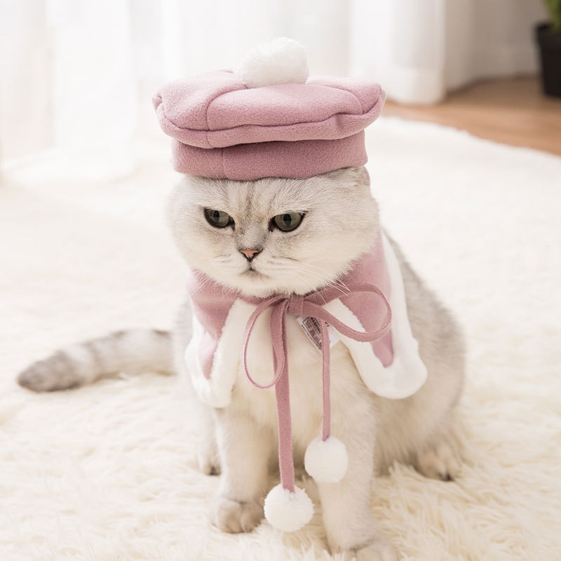 2pcs/set Pretty Cat Clothing Pet...