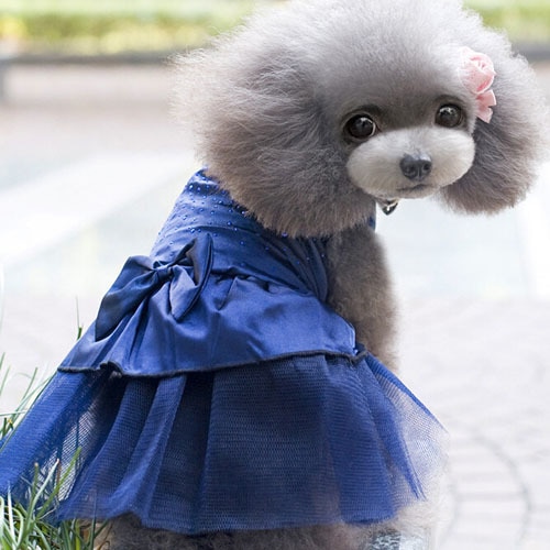 Classic Princess Dog Dresses Summer Wholesale
