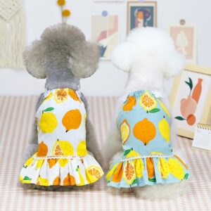 Cute Dog Dresses for Small...