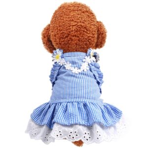 Daisy Lace Dress Dog Dress...