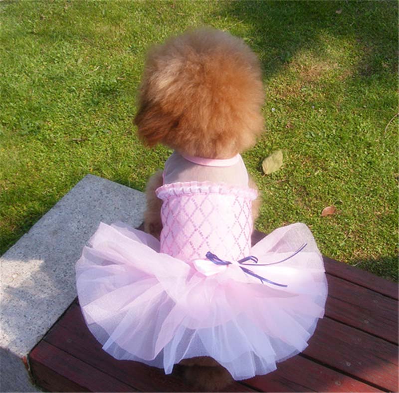 Fashion Sequin Decorate Dog Dress Summer Wholesale