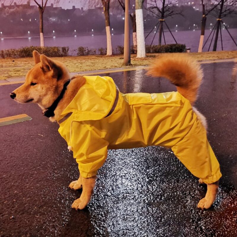 Raincoat Jumpsuit Rain Coat for Dogs Pet Wholesale