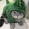 Pet Cat Clothes Puppy Dog Cat Funny Dinosaur Costume