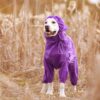 Pet Dog Raincoat Reflective Waterproof Zipper Clothes Wholesale