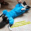 Pet Large Dog Raincoat Outdoor Waterproof Clothes Wholesale