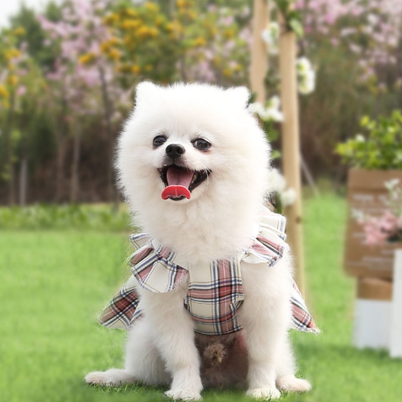 Small Dog Dress Teddy Plaid Pet Clothing Wholesale