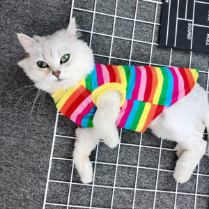 Rainbow Cat Clothes Summer Clothes...