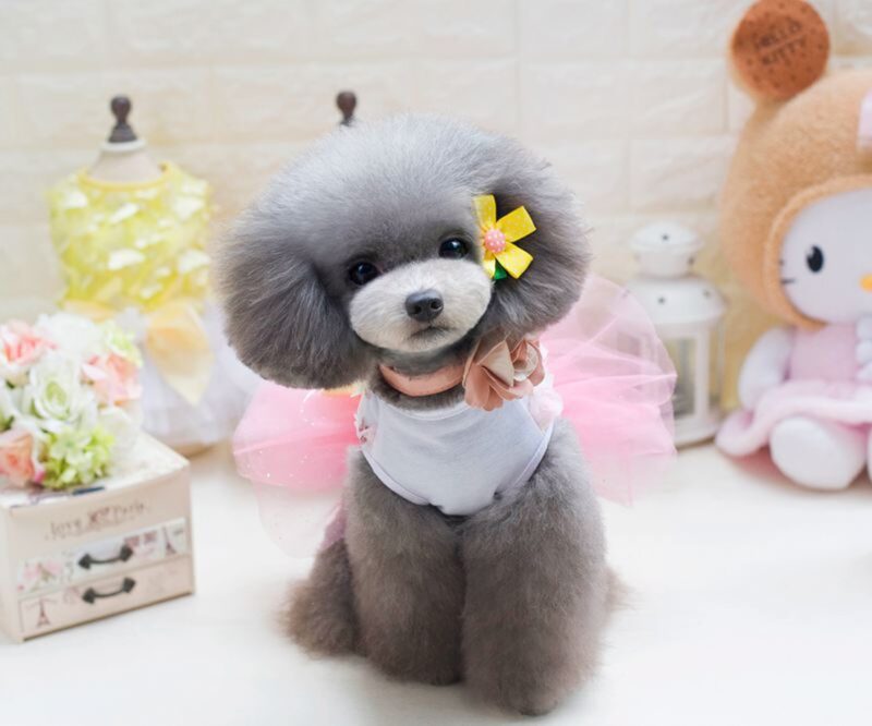 Dog Tutu Dress Pet Dog Clothes Wedding Dress Wholesale