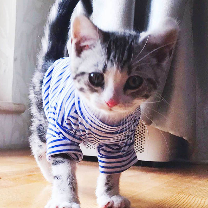 Warm Cat Clothes Autumn Winter Pet Clothing For Small Cats
