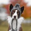 Winter Pet Dog Hat Cap Christmas Warm Windproof Pet Hats Wholesale