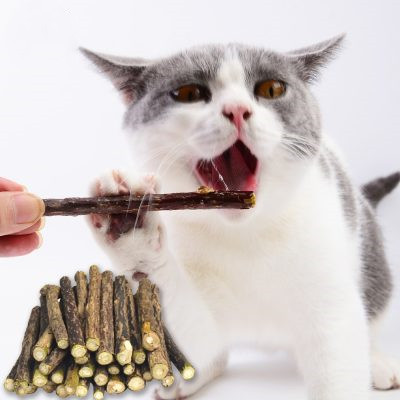 Hot Pure Natural Catnip Pet Cat Toy Pet Supplies