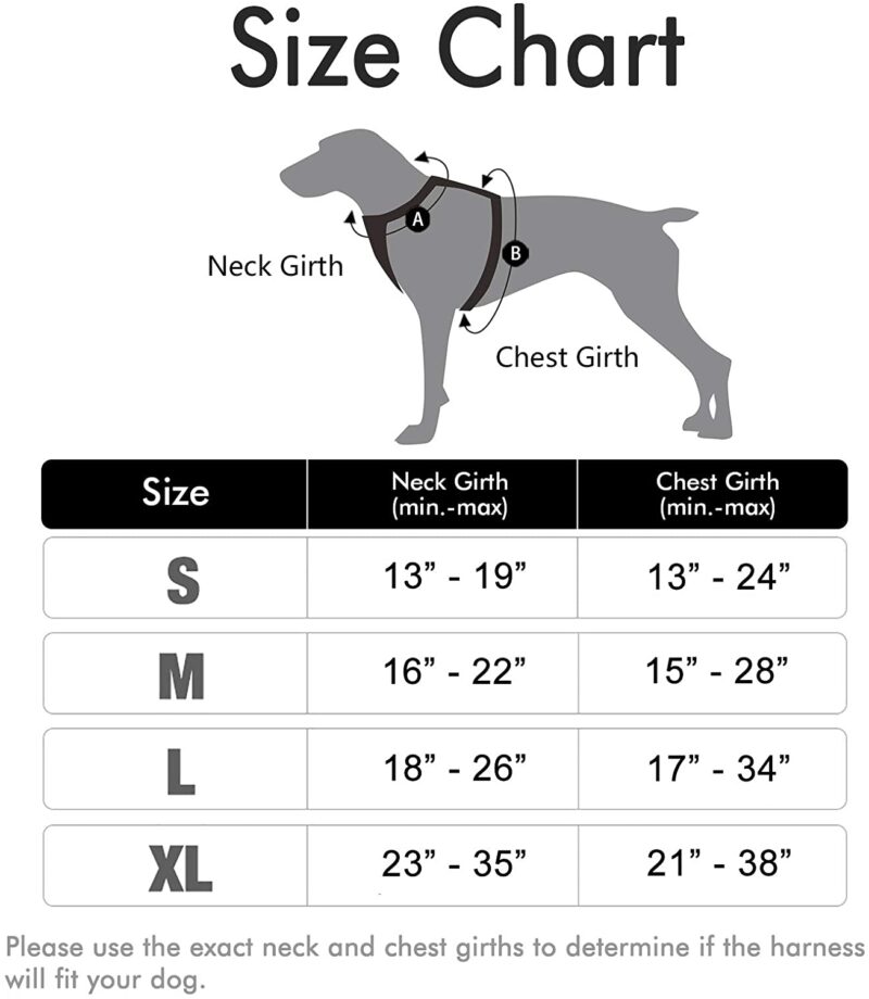 No-Pull Dog Pet Harness with 2 Leash Clips No-Choke Pet Vest
