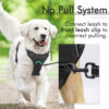 No-Pull Dog Pet Harness with 2 Leash Clips No-Choke Pet Vest