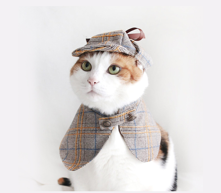 0317 5 Wholesale Dog & Cat Clothing